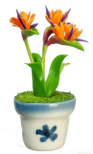 (image for) Potted Bird of Paradise