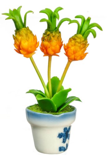 (image for) Potted Pineapple Plant