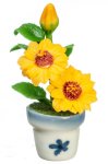 (image for) Potted Sunflower