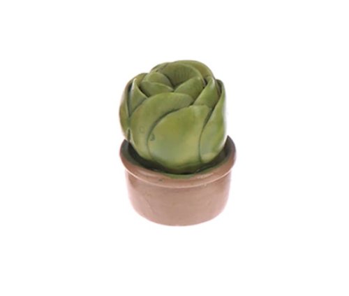 (image for) Potted Succulent - Style 2