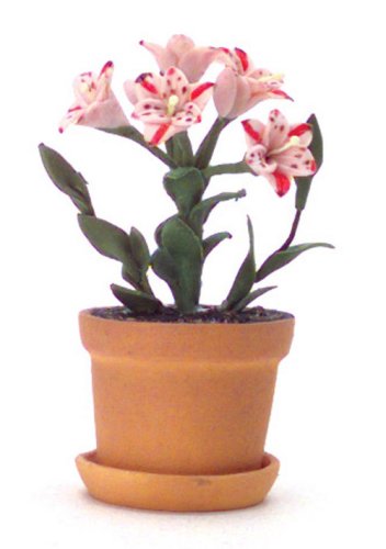 (image for) Magic Pink Lilies in a Clay Pot