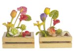 (image for) Home Made Flower Boxes 2pc