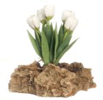 (image for) White Tulips On Rock