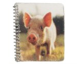 (image for) Pig Spiral Notebook Discontinued