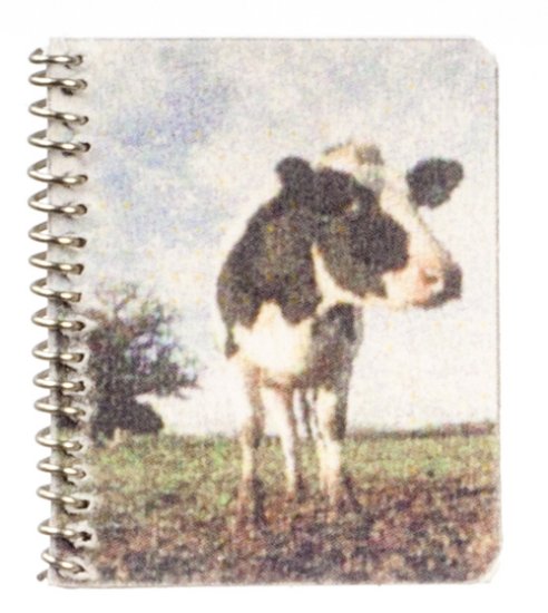 (image for) Cow Spiral Notebook Discontinued