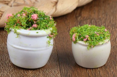 (image for) Potted Flowers 2pc