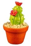 (image for) Flowering Cactus in Pot