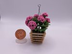 (image for) Pink Geraniums in Hanging Planter