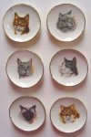 (image for) Cat Plates 6pc