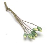 (image for) Yellow Water Lilly Bud 6pc