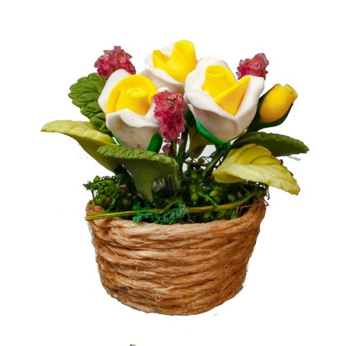 (image for) Yellow & White Flowering Houseplant