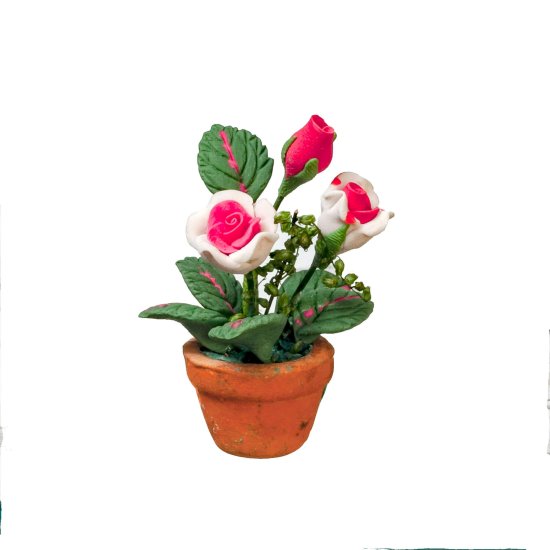 (image for) Multi-Colored Roses in a Clay Pot