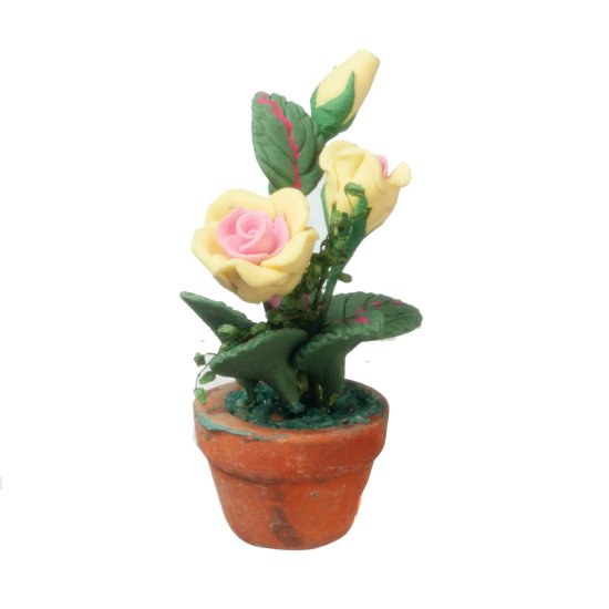 (image for) Yellow & Pink Roses in a Clay Pot