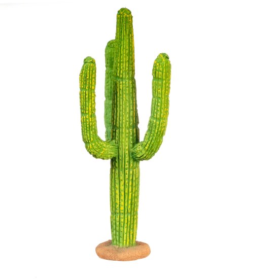 (image for) Saguaro Cactus