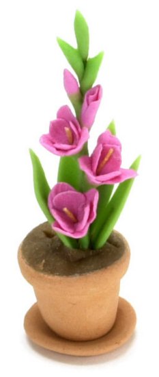 (image for) Pink Gladiolus in Clay Pot