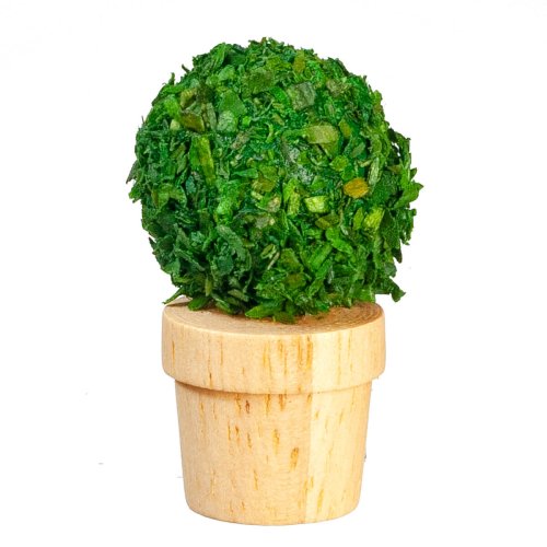 (image for) Potted Green Plant