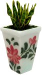 (image for) Aloe Vera in Square Painted Vase