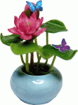 (image for) Water Lily Arrangement Pink