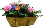 (image for) Carnations and Flowers in Rustic Box