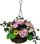 (image for) Pink Carnations in Hanging Basket