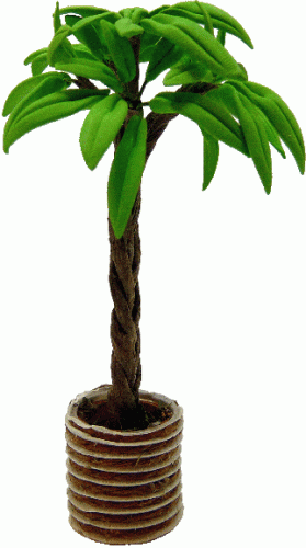 (image for) Palm In A Decorative Pot