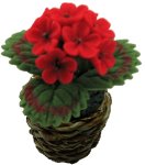 (image for) Red Geranium in Basket