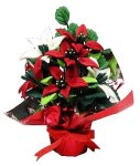 (image for) Red & White Poinsettias in Foil