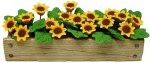 (image for) Sunflowers in Window Box