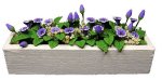 (image for) Purple Cup Flowers In White Window Box