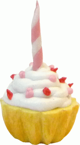 (image for) Birthday Cupcake