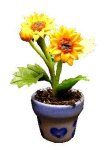 (image for) Sunflowers in Blue Design Pot