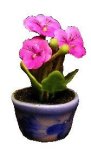 (image for) Pink Pansies in Blue Pot