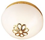 (image for) Frosted Medallion Ceiling Light 12v