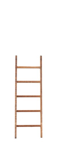 (image for) 6in Ladder w/ Treads