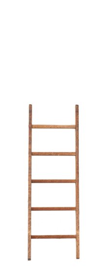 (image for) 6in Ladder w/ Treads