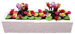 (image for) Tulips & Pansies in White Window Box