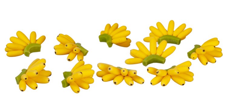 (image for) Banana Bunch 10pc