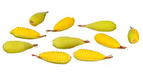 (image for) Cob Corn 10pc