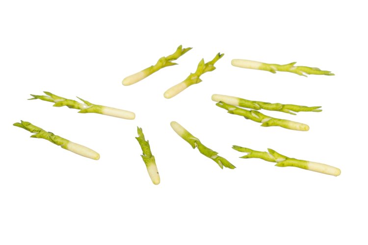 (image for) Asparagus 10pc