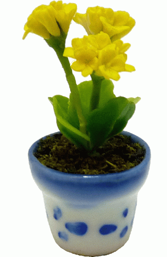 (image for) Yellow Geraniums in Pot