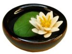 (image for) White Water Lily in Bowl