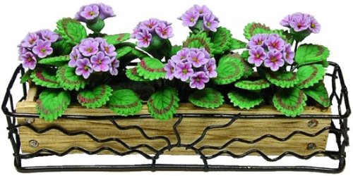 (image for) Purple Geranium in Sunrise Window Box