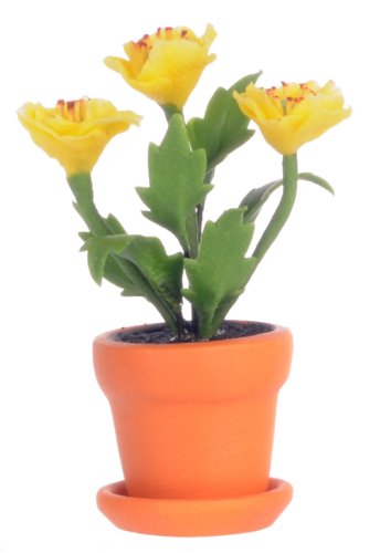 (image for) Yellow Poppy In Pot