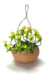 (image for) Hypericum Elodes Hanging Basket