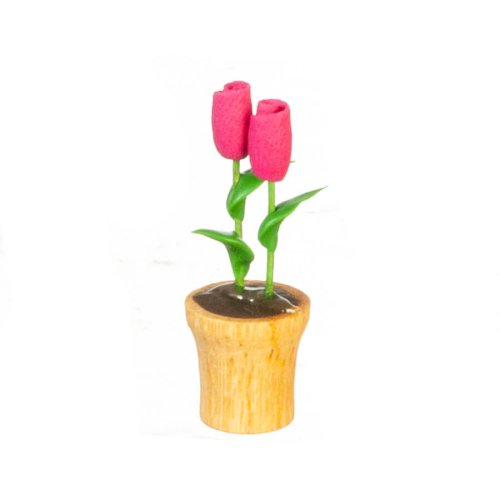 (image for) Potted Pink Flowers