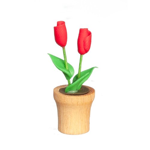 (image for) Potted Red Flowers