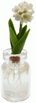 (image for) White Bulb with Roots in Glass Jar