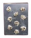 (image for) Cookie Dough on a Cookie Sheet