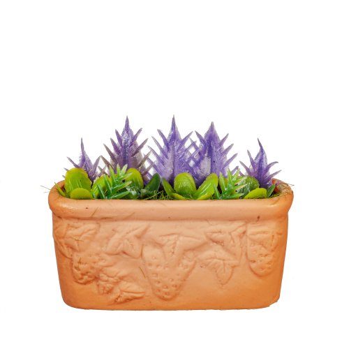 (image for) Terra Cotta Window Planter w/ Tropical Plants