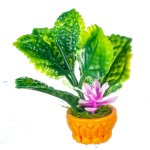 (image for) Potted Tropical Flowering Plant - Purple